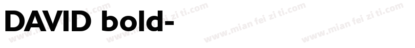DAVID bold字体转换